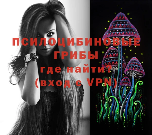 твердый Балахна