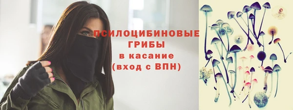 твердый Балахна