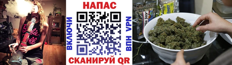 наркотики  Шуя  Каннабис гибрид 
